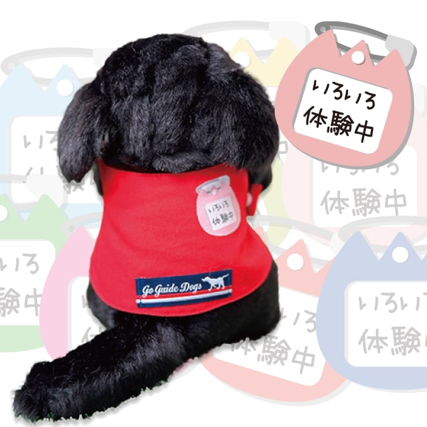 いろいろ体験中パピー
