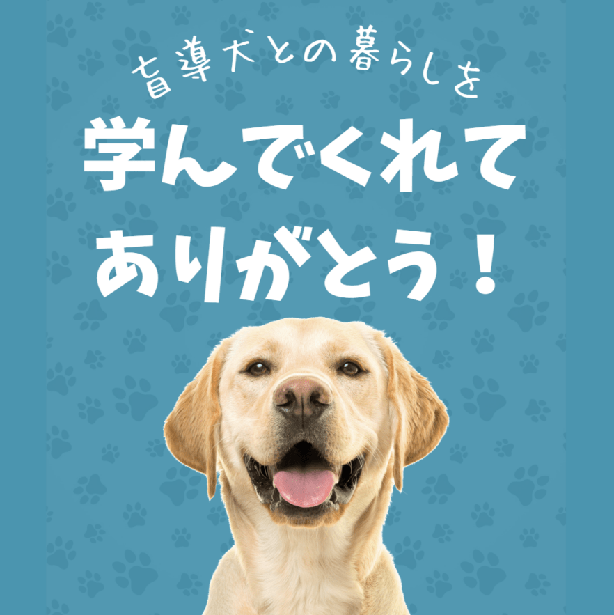 【カートINでプレゼント】2026年版 サポートを学んでくれてありがとう!