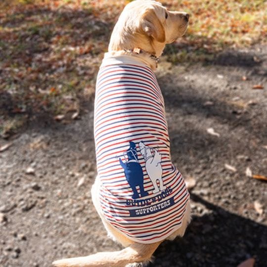 ボーダータンク