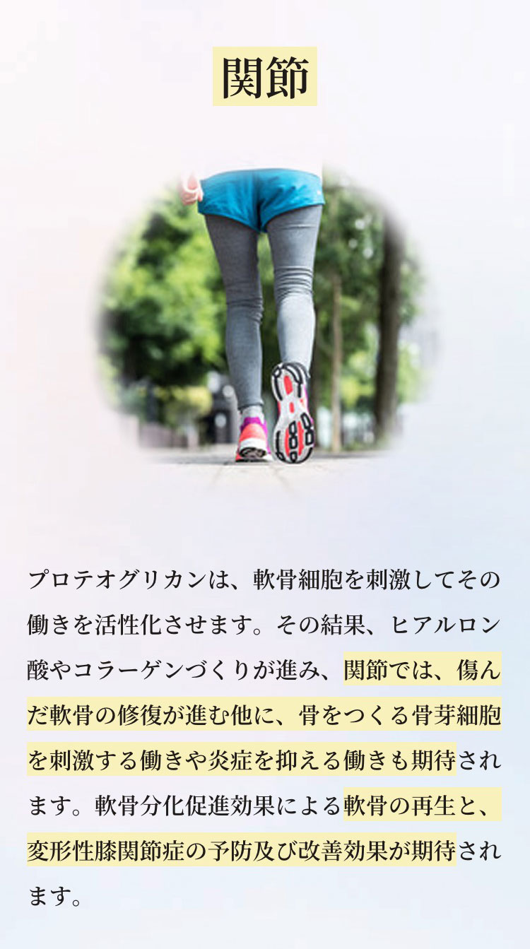 ڤޤȤ㤤20%OFF HBF ʱΥƥ ʪǡ90γ3  3ĥå ָ4571573340054