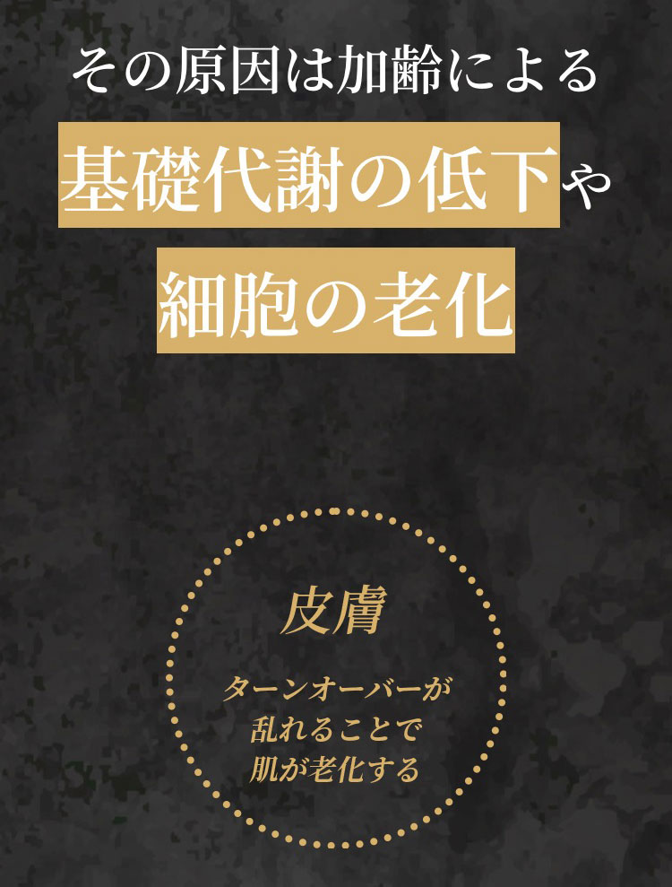 ڤޤȤ㤤20%OFF HBF ʱΥƥ ʪǡ90γ3  3ĥå ָ4571573340054