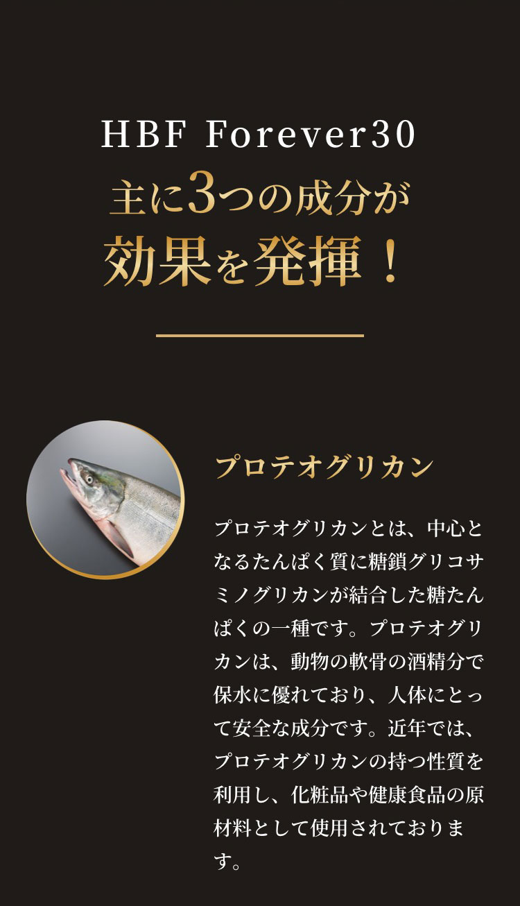 ڤޤȤ㤤20%OFF HBF ʱΥƥ ʪǡ90γ3  3ĥå ָ4571573340054