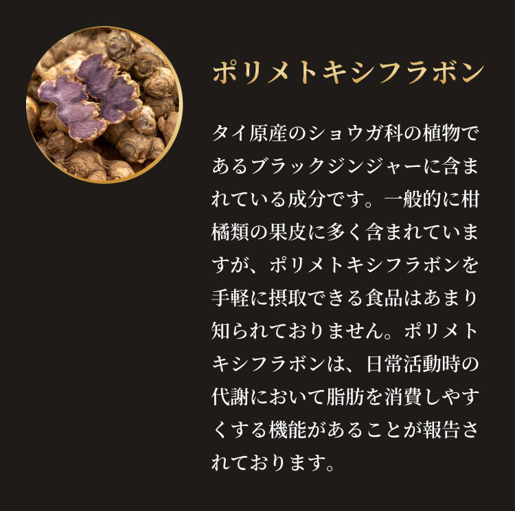 ڤޤȤ㤤20%OFF HBF ʱΥƥ ʪǡ90γ3  3ĥå ָ4571573340054