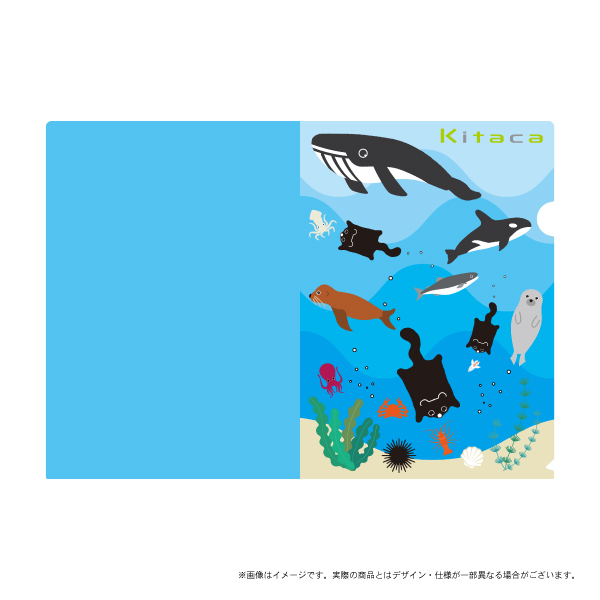 JR�̳�ƻ Kitaca ���ꥢ�ե�����H