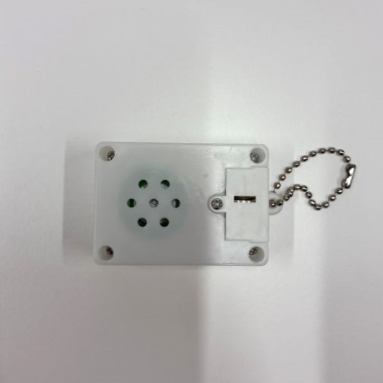 ����ż֥���ǥ��ܡ����������