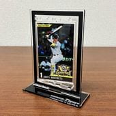 2025�꡼��ͥ����ǰ�ûұ�ե���ȥ�������ž������ɡʿ�����