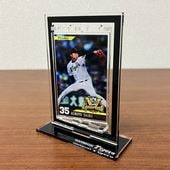 2025�꡼��ͥ����ǰ�ûұ�ե���ȥ�������ž������ɡʺ��ڡ�