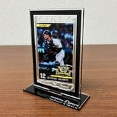 2025�꡼��ͥ����ǰ�ûұ�ե���ȥ�������ž������ɡʺ��ܡ�