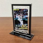 2025�꡼��ͥ����ǰ�ûұ�ե���ȥ�������ž������ɡ������