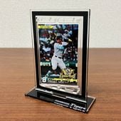 阪神タイガース　優勝記念 阪神タイガース リーグ優勝記念 | HCLスポーツオンラインショップ