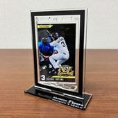 阪神タイガース - 阪神タイガース　リーグ優勝記念 アクリルハーフケット 阪神タイガース - 阪神タイガース リーグ優勝記念 アクリル