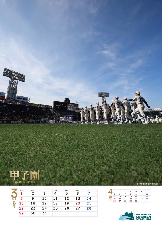 甲子園球場カレンダー2026（壁掛けタイプ） | 甲子園球場GOODS | HCL