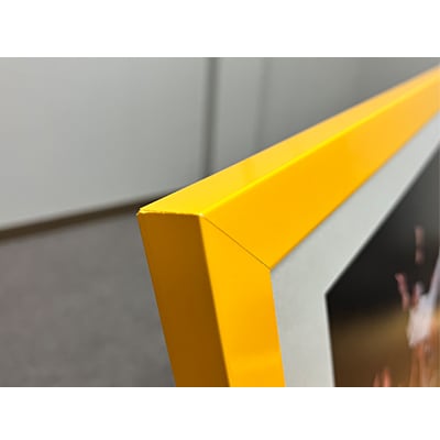 受注生産】2025リーグ優勝記念フォトフレーム（胴上げ） | 阪神