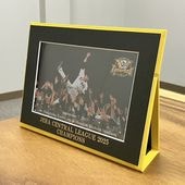 2025リーグ優勝記念2Lサイズ スタンド式台紙