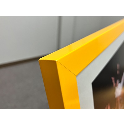 �ڼ���������2025�꡼��ͥ����ǰ�ե��ȥե졼���ƹ�夲��