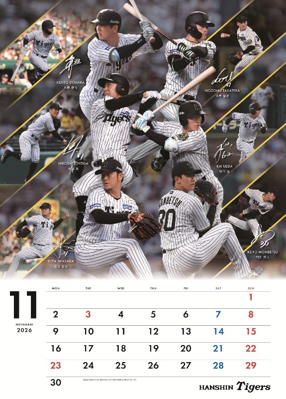 �������������2026�����������ɳݤ������ס�