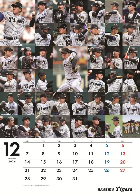 �������������2026�����������ɳݤ������ס�