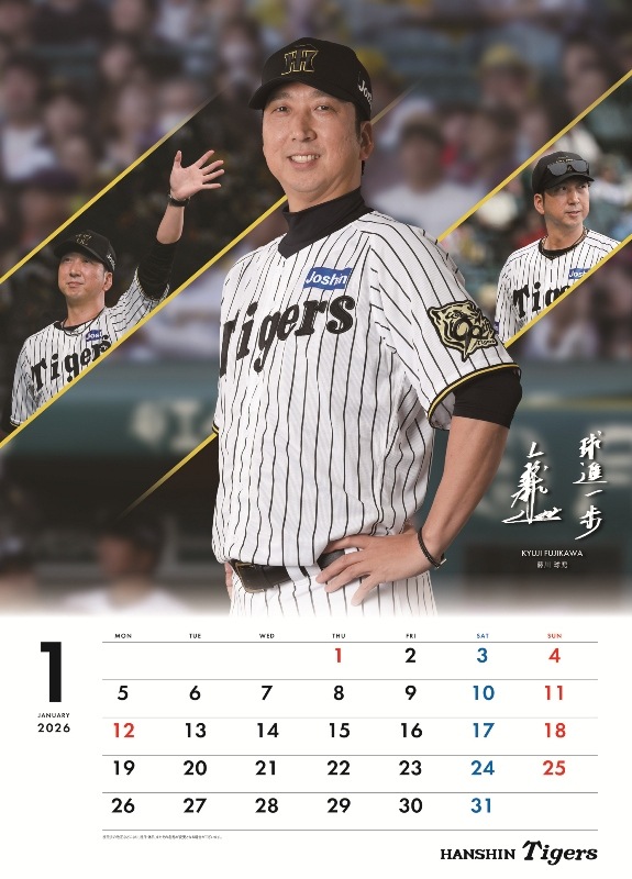 �������������2026�����������ɳݤ������ס�