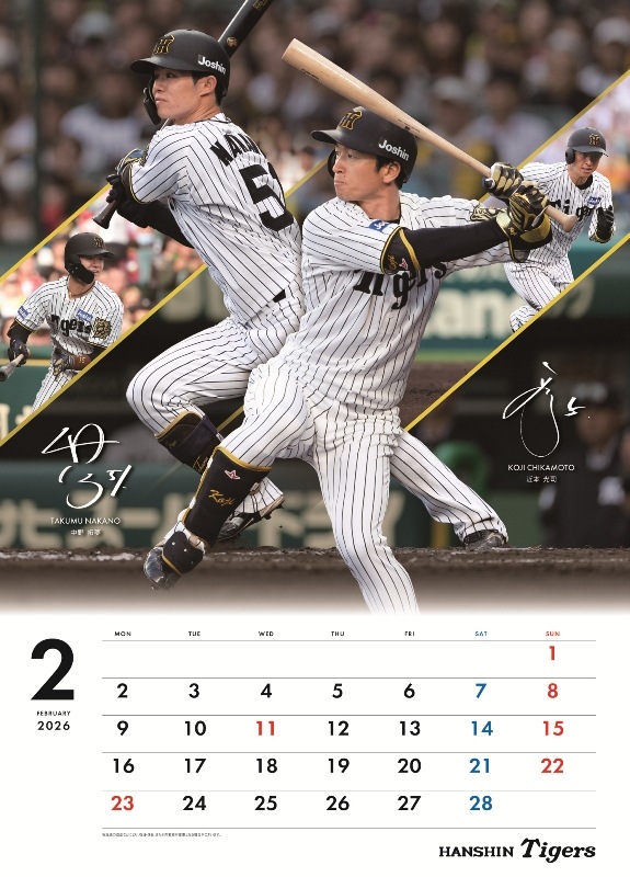 �������������2026�����������ɳݤ������ס�