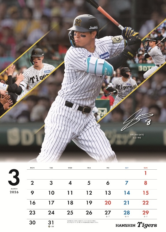 �������������2026�����������ɳݤ������ס�