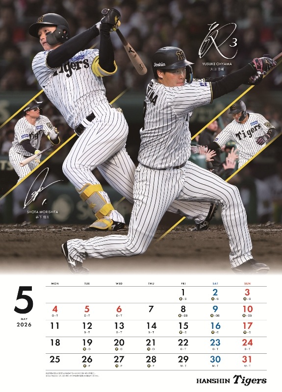 �������������2026�����������ɳݤ������ס�