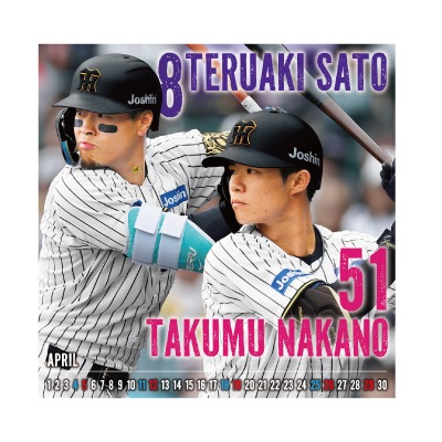 ��������������ǥ�����������2026����奿���ס�