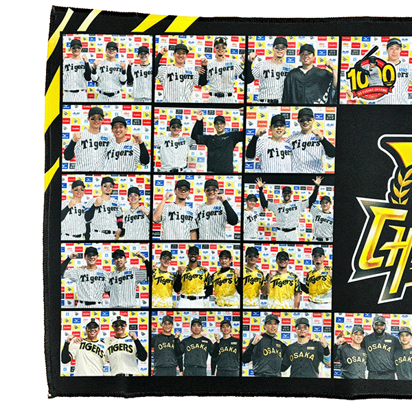 2025�꡼��ͥ����ǰ�ҡ��������󥿥ӥ塼������