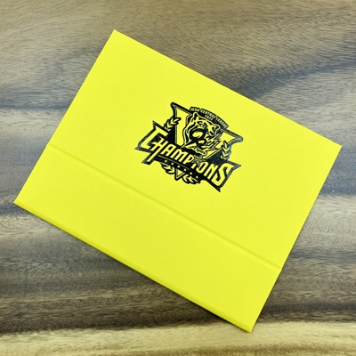 2025�꡼��ͥ����ǰ2L������ ������ɼ����