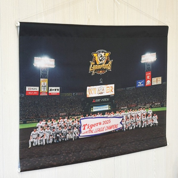 2025�꡼��ͥ����ǰB2���ڥ��ȥ꡼