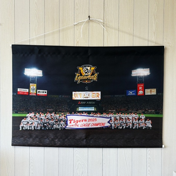 2025�꡼��ͥ����ǰB2���ڥ��ȥ꡼