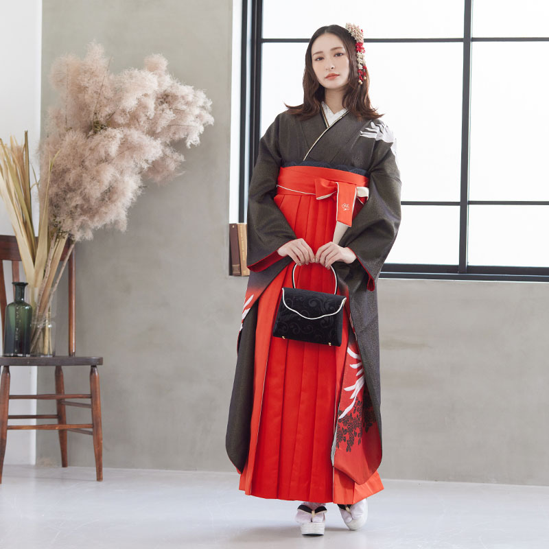  【SALE】 黒赤 白菊  絹 レンタル 振袖袴 R754