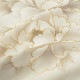 華徒然 ベージュ×黒×オフホワイト　牡丹に梅 レンタル 振袖袴 R2224