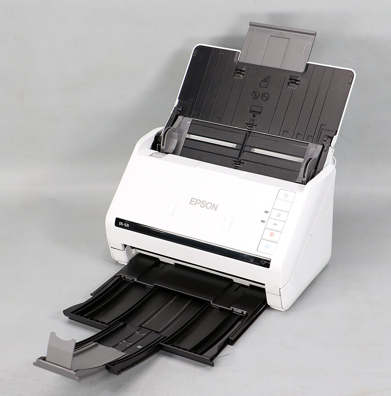 EPSON/ץ ̳ɥȥʡ DS-531 ɥǥ š