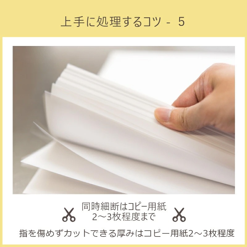 �����å����Ϥ��� ���󥹥���ʸ�� SHREDDER SCISSORS (������ �ޥ��������å�)���� 