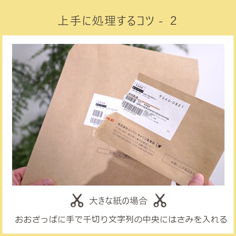 �����å����Ϥ��� ���󥹥���ʸ�� SHREDDER SCISSORS (������ �ޥ��������å�)���� 