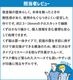��60��ʬ��ʧ������������ MS�����å��� D10C ���� A3��̳�ѥ����å��� 5ǯ�ݼ��դ��ʽ�ĥ���� ǯ3��� �������ֹ� ������1�����������ѹ� ������ �᡼����ľ��