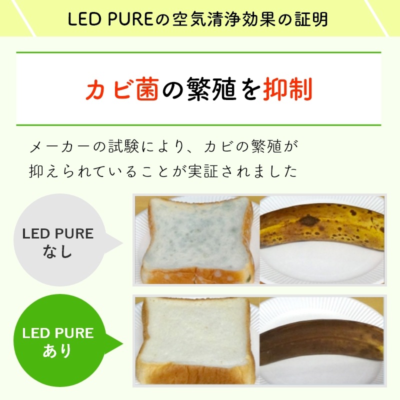�ʥ��ȥ饤�� LEDPURE led�ԥ奢 AM1 �ý����� 24�� ���������� æ���� ���ݾý��� �Ƕ� ���� �к� �� ���Х� ǭ �� �ڥå� ���� �������� ������ �������� �����顼 ������ ��� �ȥ��� ���� ���� ���å��� �����륹 PM2.5���� �����ڿ��ʡ�