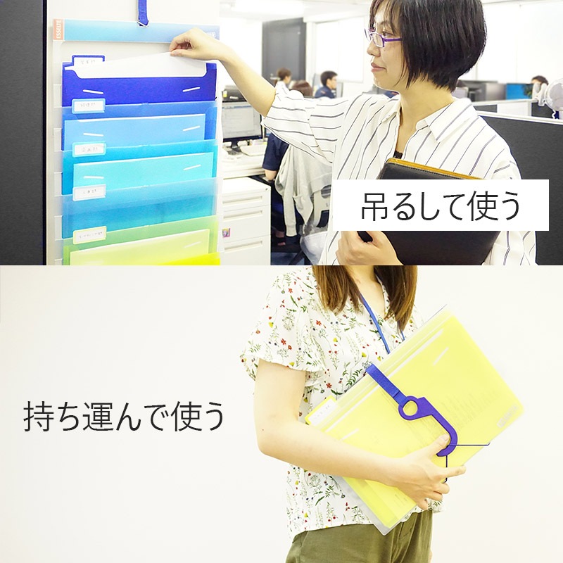 ESSELTE/ơSORTED/ƥåɡɤߤ뤹ǻ 2WAY A4եڿʡۡ