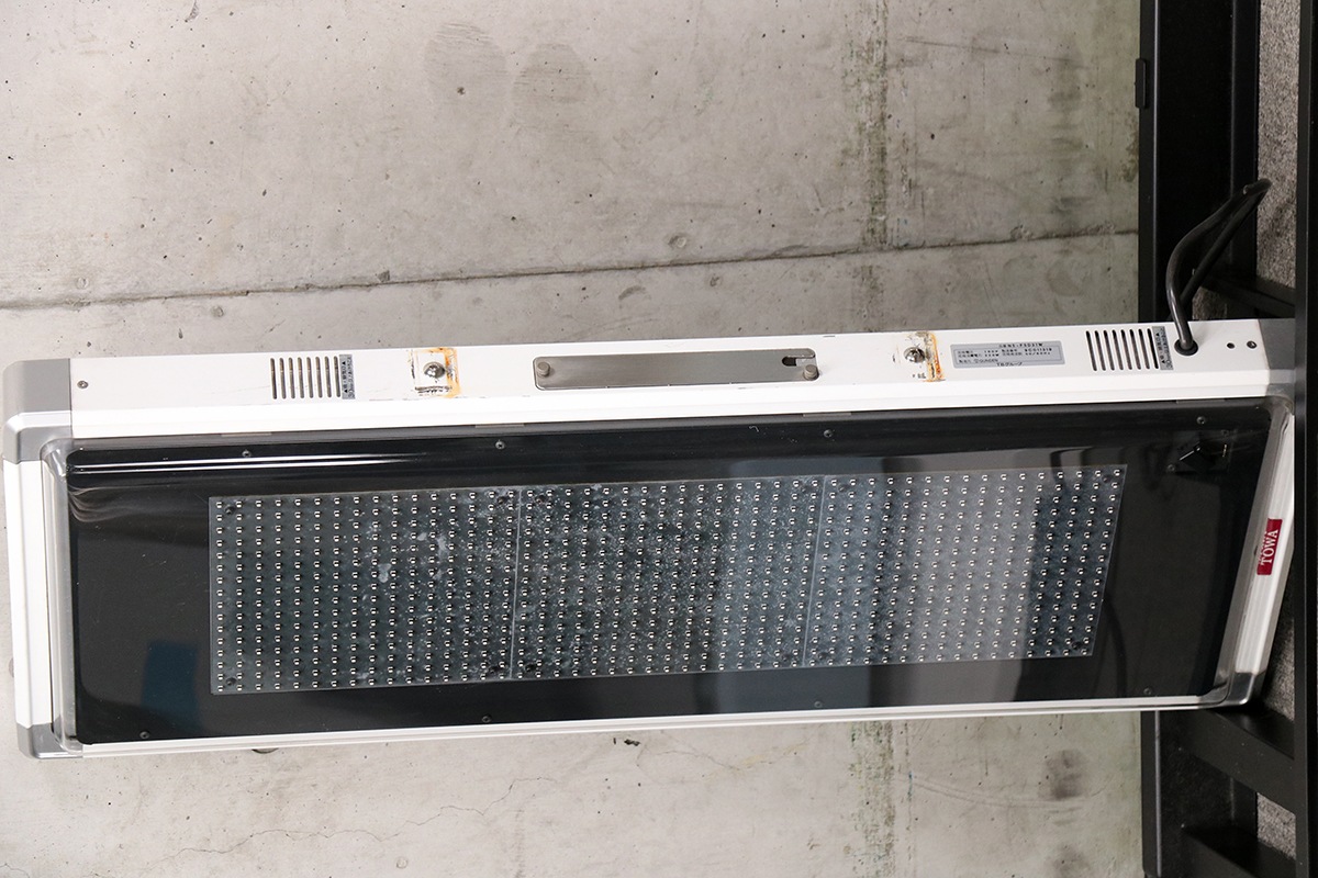 T ŹƬ TOWA 㥯ȡ ꥢ ˥顼 NS-FSD31W ξ ե륫顼 LED 3ʸ1 16ɥå šS2510-5324