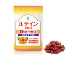 ��ƥ���ץ� 1��31γ�������1����ʬ��  [���ץ����]