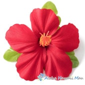 フラダンス 髪飾り ハイビスカス 1P レッド