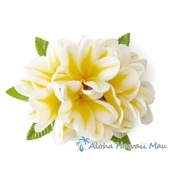 フラダンス 髪飾り アロハ プルメリア 髪飾り L イエロー