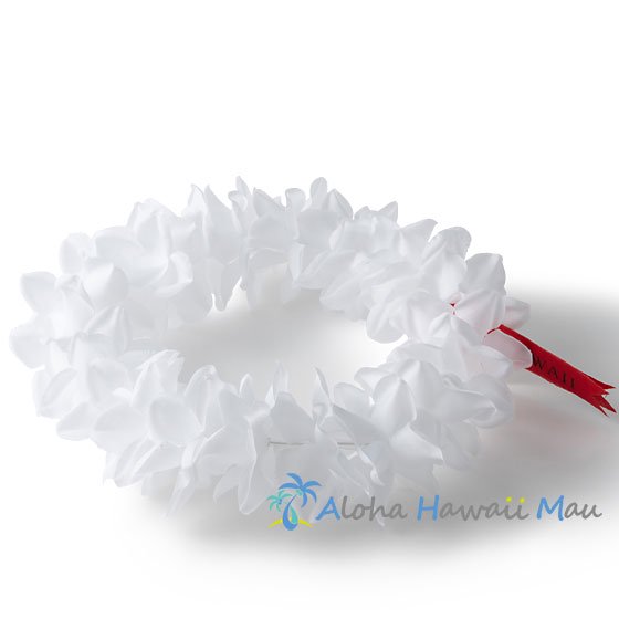 フラダンス ヘッドバンド（ポォ）プルメリアプナ ホワイト