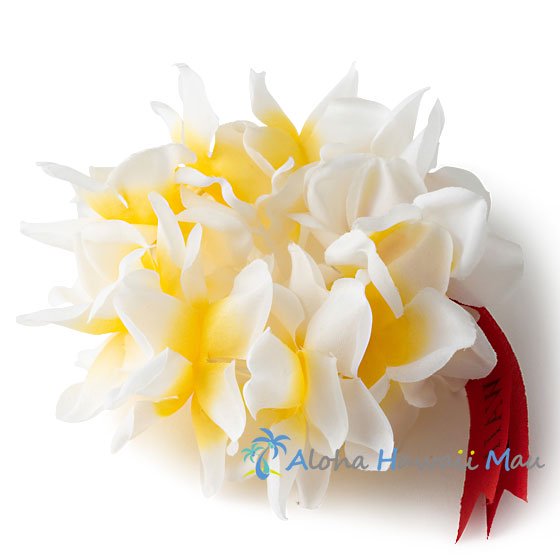 フラダンス ブレスレット プルメリアプナ プルメリア