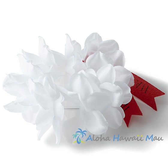 フラダンス ブレスレット プルメリアプナ ホワイト