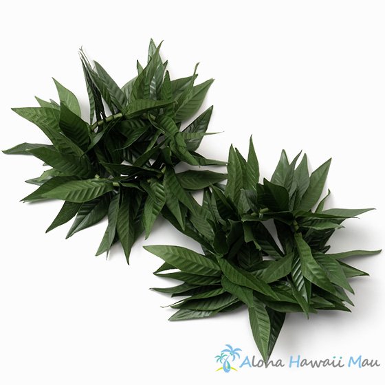 フラダンス ブレスレット（クーペエ） マイレ ラウリイ 2個セット