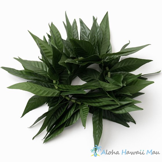 フラダンス ブレスレット（クーペエ） マイレ ラウリイ | フラダンス