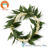 マイレ＆ピカケ ヘッドバンド フラダンス ヘッドバンド