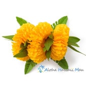 フラダンス 髪飾り イリマ＆マイレ髪飾り M イエロー