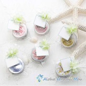 ソリッドパフューム14g〈メッセージカード付〉ハワイギフト LANIKAI Bath＆Body ラニカイ バス＆ボディ